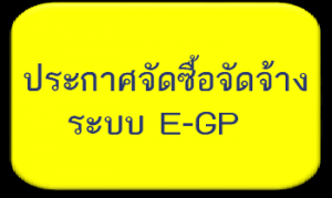 ประกาศจากระบบกรมบัญชีกลาง (EGP)